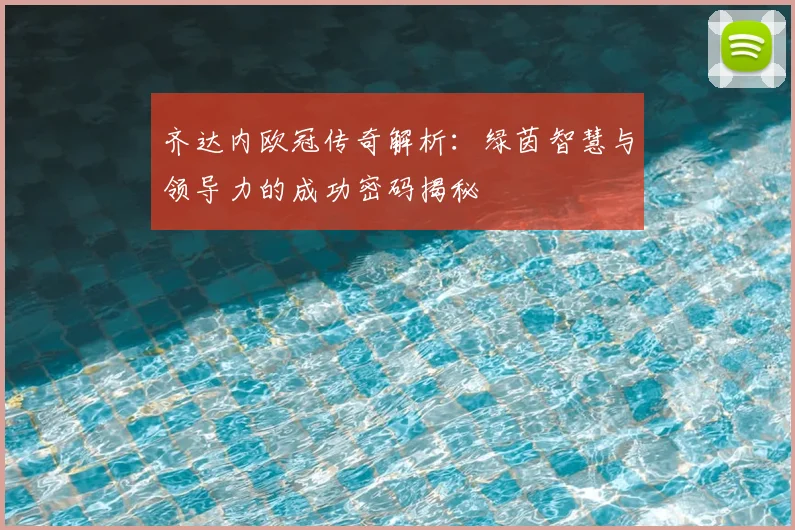 齐达内欧冠传奇解析：绿茵智慧与领导力的成功密码揭秘