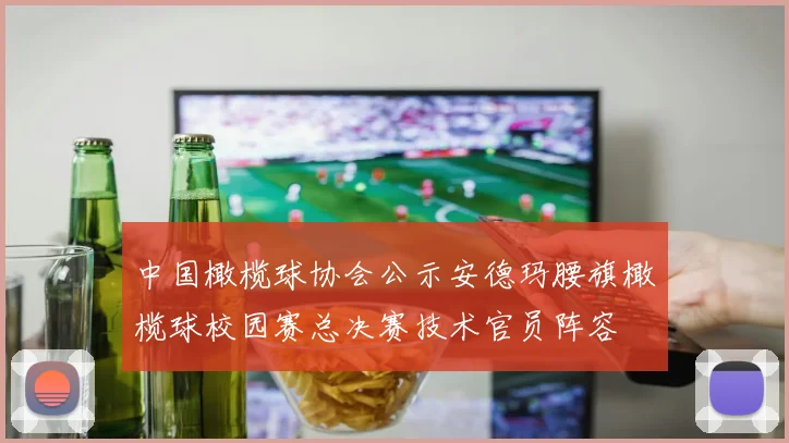 中国橄榄球协会公示安德玛腰旗橄榄球校园赛总决赛技术官员阵容
