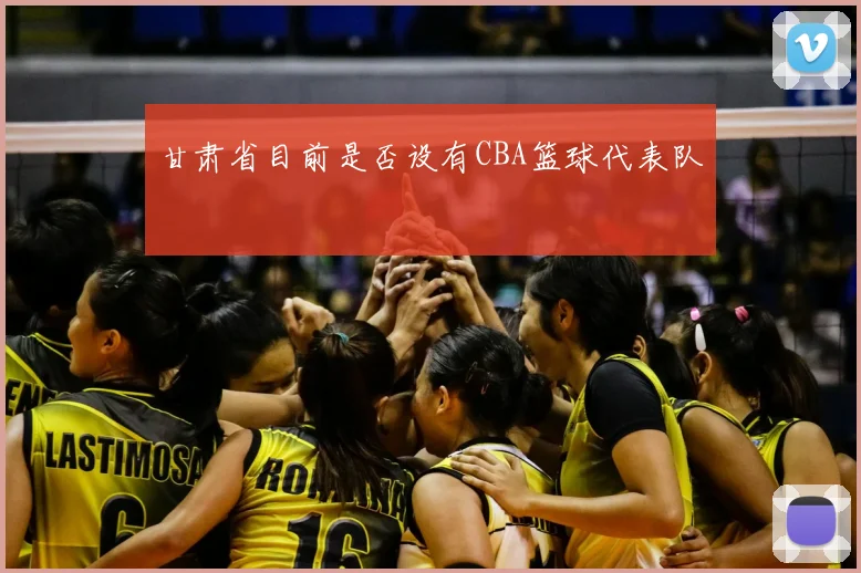 甘肃省目前是否设有CBA篮球代表队